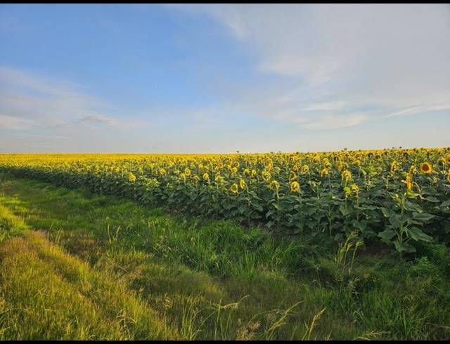 FARM FOR SALE IN BETHLEHEM RURAL